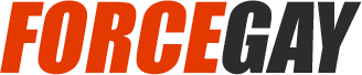 Logo forcegay